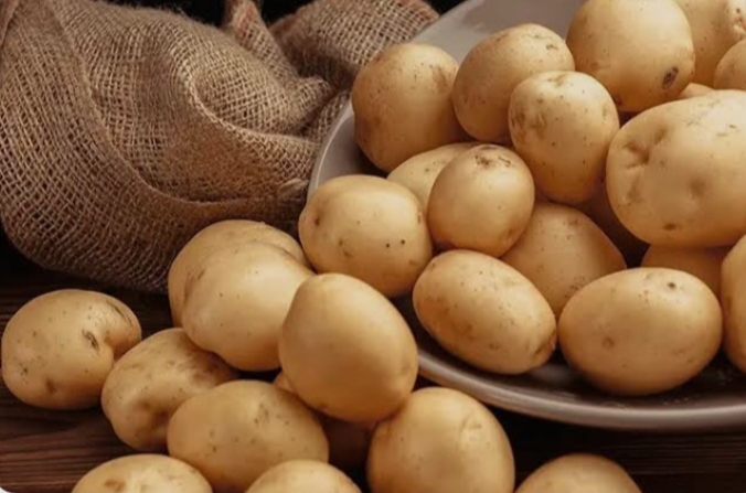 Potato