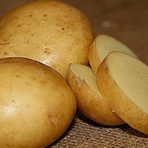 আলু