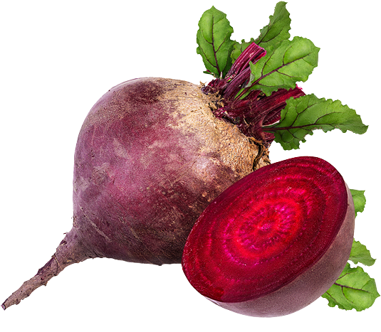 বিট